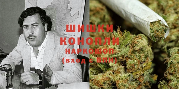 спиды Верея