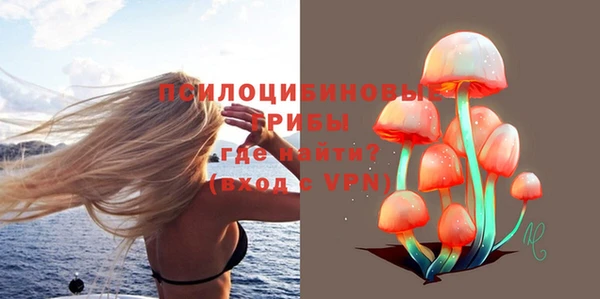 спиды Верея